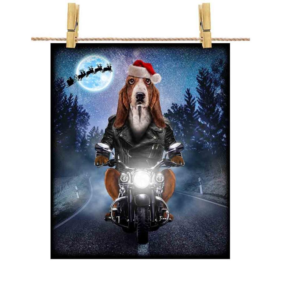 バセットハウンド ドッグ 犬 いぬ バイク クリスマス サンタクロース ポストカード By Fox Republic Postcard Dog Bst 30 Fox Republic 通販 Yahoo ショッピング