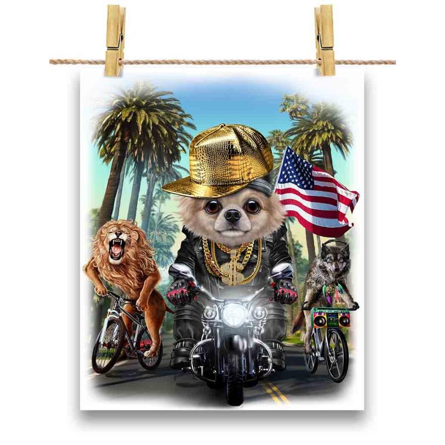 チワワ ドッグ 犬 いぬ バイク ヒップホップ】ポストカード by Fox