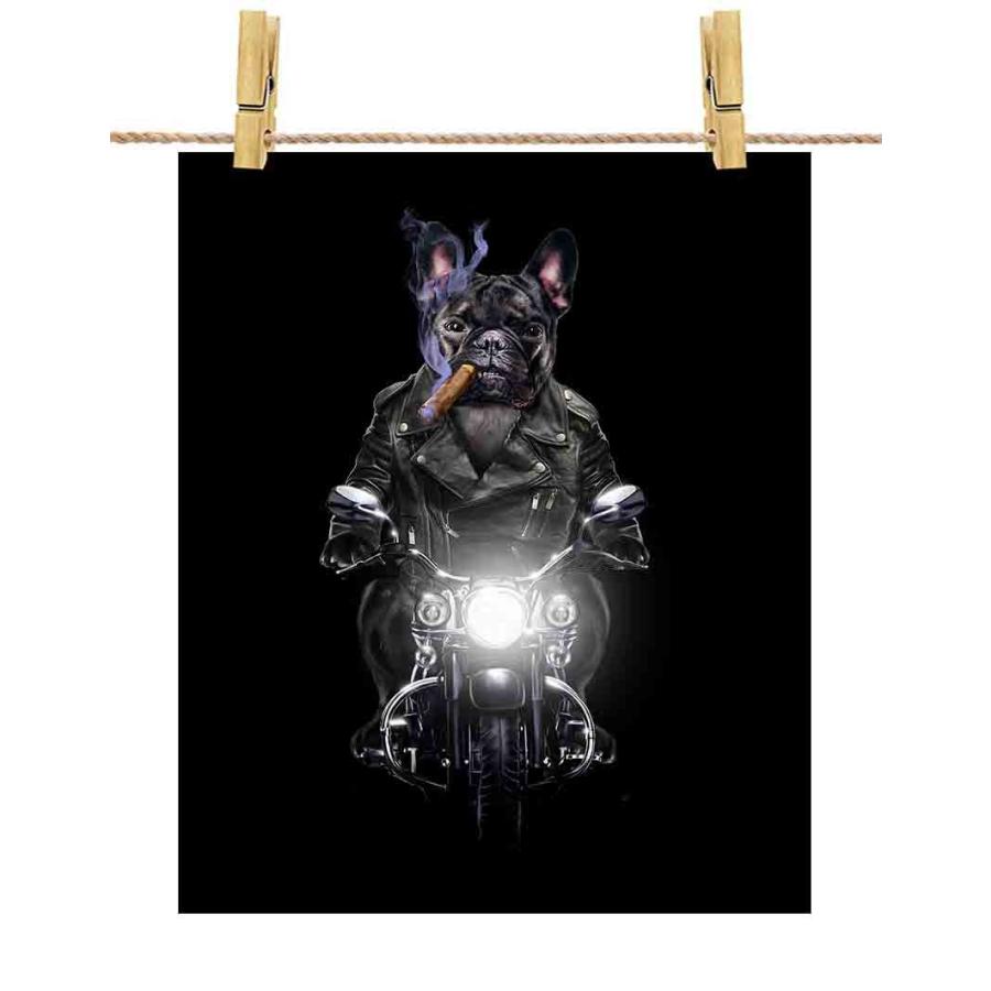 フレンチブルドッグ ドッグ 犬 いぬ バイク ヘルメット ポストカード By Fox Republic Postcard Dog Frb 27 Fox Republic 通販 Yahoo ショッピング