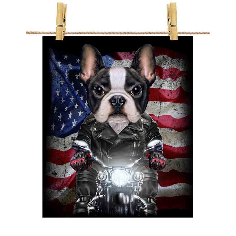 かわいい フレンチブルドッグ ドッグ 犬 いぬ バイク 星条旗 アメリカ