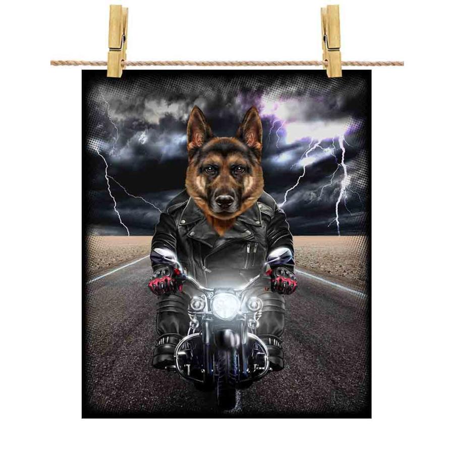 ジャーマンシェパード ドッグ 犬 いぬ バイク ヘルメット ポストカード By Fox Republic Postcard Dog Ger 29 Fox Republic 通販 Yahoo ショッピング