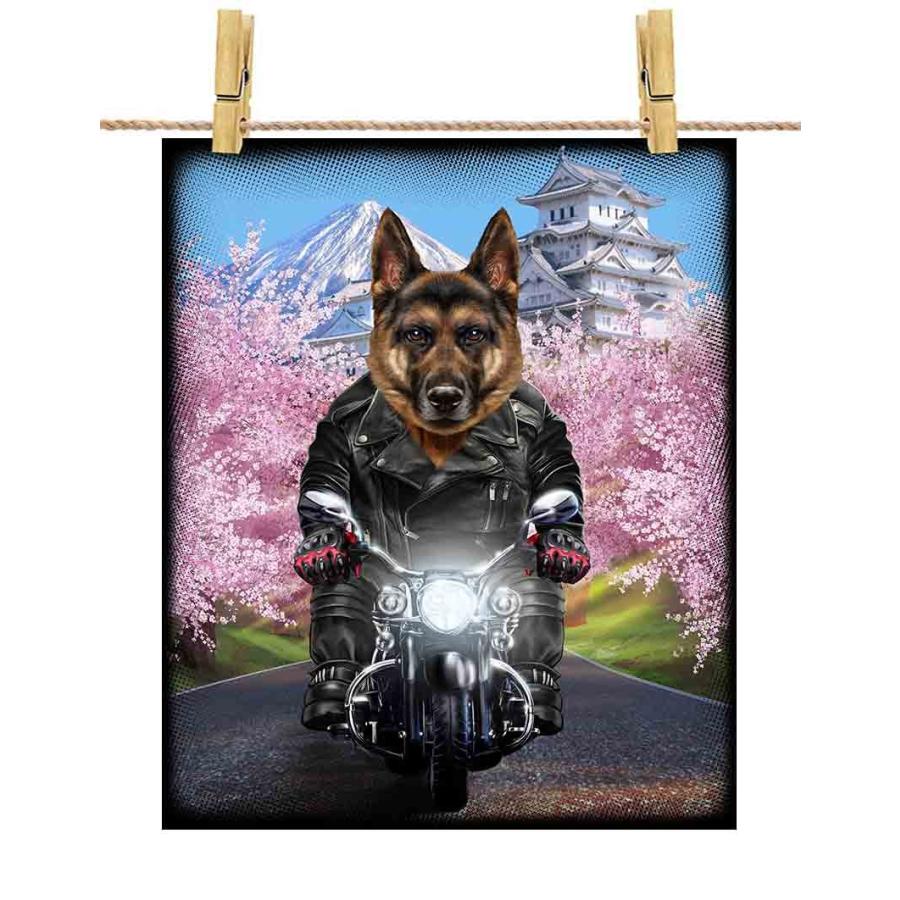 ジャーマンシェパード ドッグ 犬 いぬ バイク 桜 日本】ポストカード