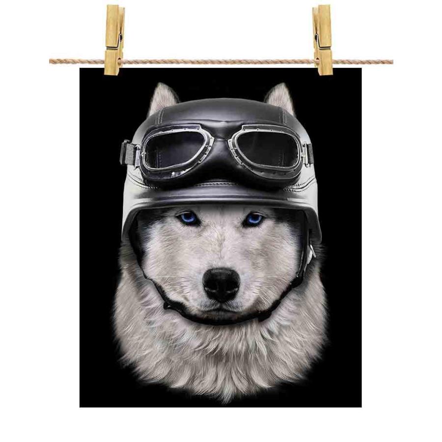 シベリアンハスキー ドッグ 犬 いぬ ヘルメット】ポストカード by Fox