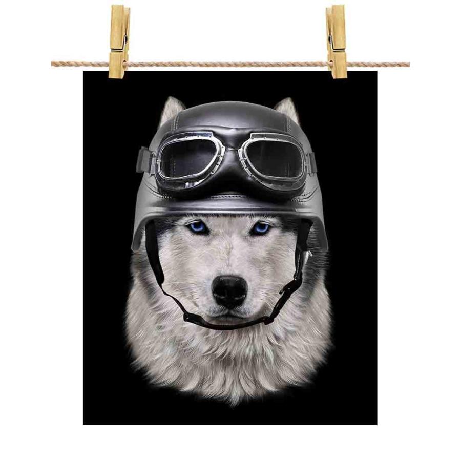 シベリアンハスキー ドッグ 犬 いぬ ヘルメット】ポストカード by Fox