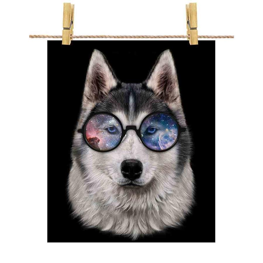 シベリアンハスキー ドッグ 犬 いぬ サングラス】ポストカード by Fox