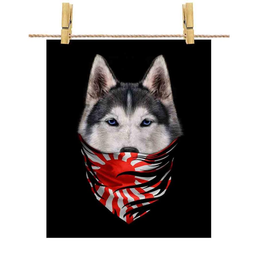 シベリアンハスキー ドッグ 犬 いぬ 日本 Japan バンダナ ポストカード By Fox Republic Postcard Dog Hky 39 Fox Republic 通販 Yahoo ショッピング