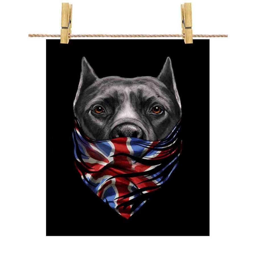 黒毛のアメリカンピットブル ドッグ 犬 いぬ イギリス ポストカード By Fox Republic Postcard Dog Pit2 36 Fox Republic 通販 Yahoo ショッピング