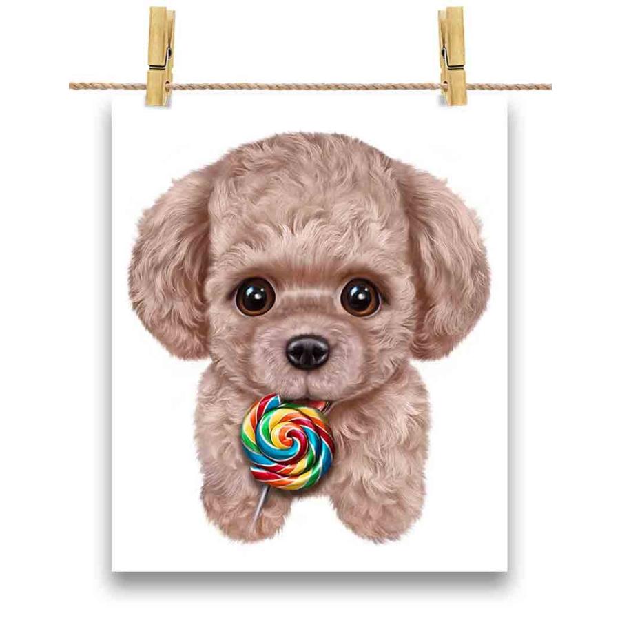 クリーム色 プードル ドッグ 犬 いぬ ちわわ キャンディ 飴 ポストカード By Fox Republic Postcard Dog Pode2 7 Fox Republic 通販 Yahoo ショッピング