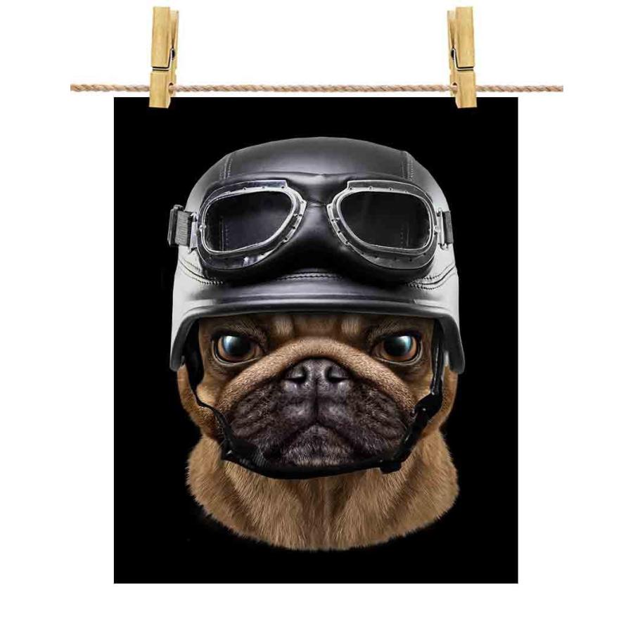 犬バカ店長★ extimage.php?