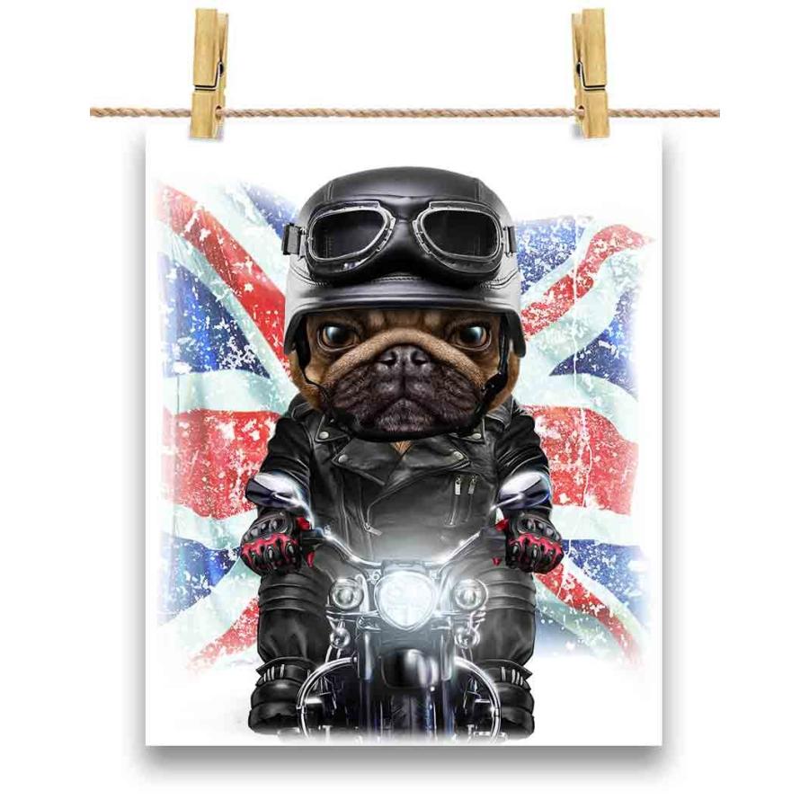 真顔の パグ ドッグ 犬 いぬ バイク イギリス】ポストカード by