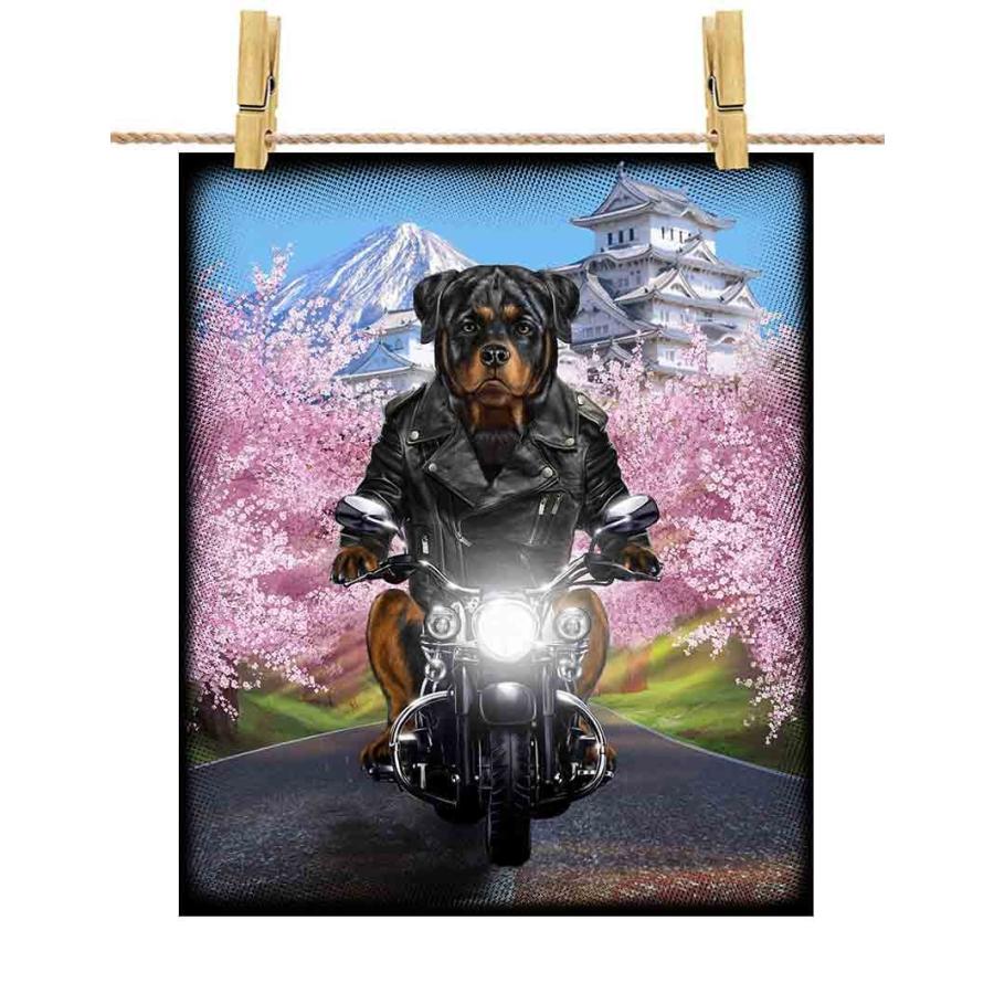 犬ヶ島('18米) スチールブック仕様　ポストカード付き 2025年最新】犬ヶ島 スチールブックの人気アイテム - メルカリ