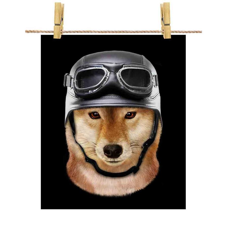 柴犬 ドッグ 犬 いぬ ヘルメット】ポストカード by Fox Republic 柴犬 ドッグ 犬 いぬ ヘルメット】ポストカード by Fox Republic