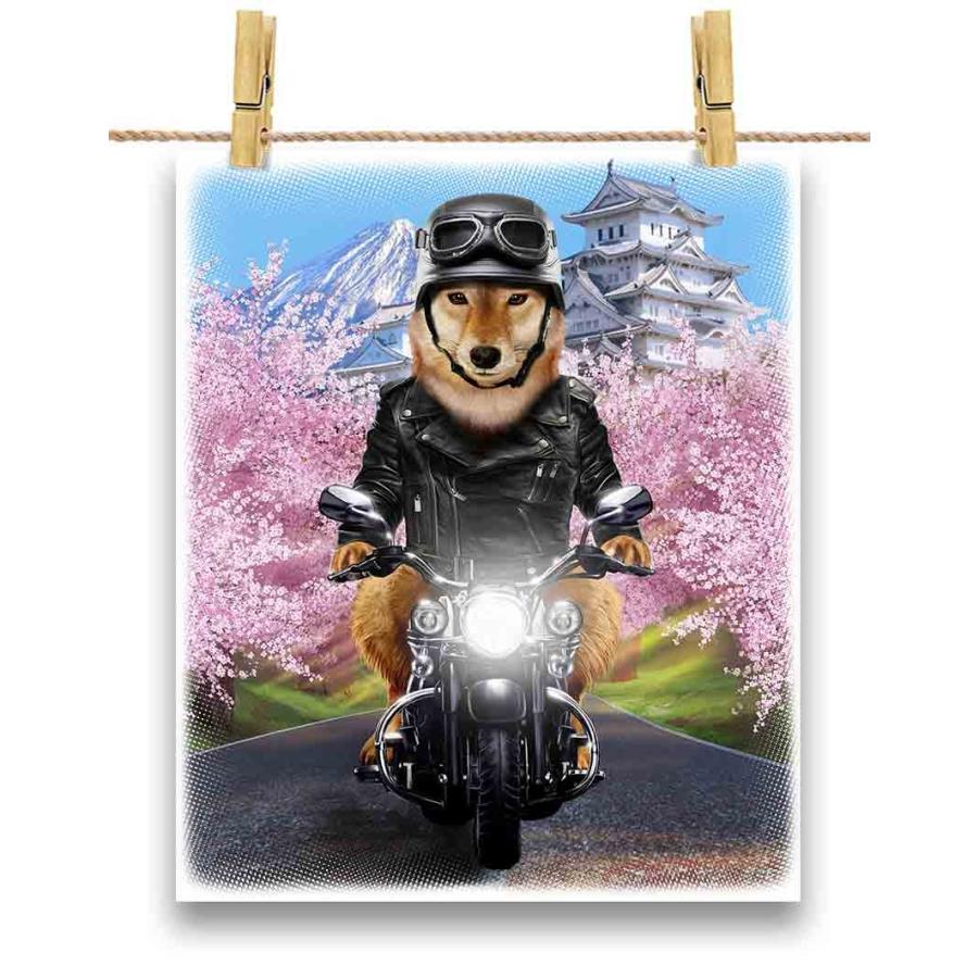 柴犬 ドッグ 犬 いぬ バイク 桜 日本】ポストカード by Fox 柴犬 ドッグ 犬 いぬ バイク 桜 日本】ポストカード by Fox