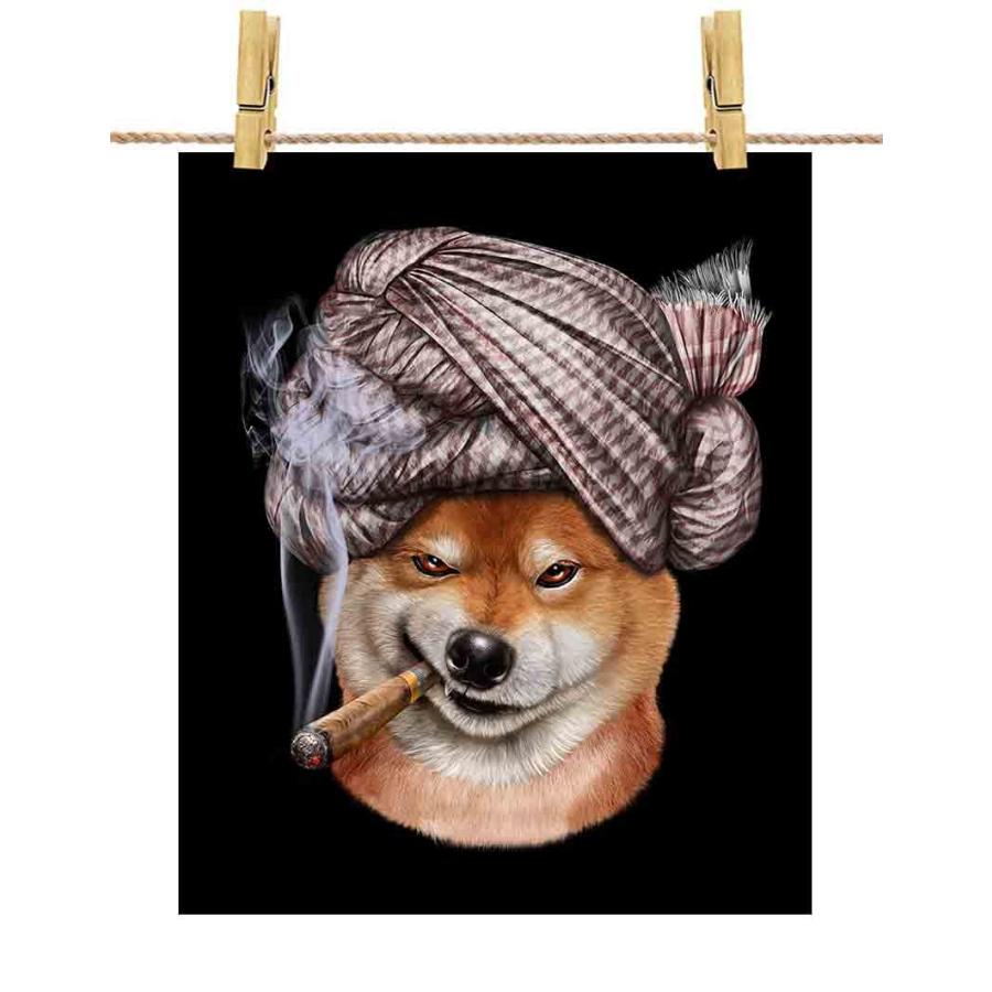 柴犬！ 柴犬コマリ @shibakoma (TJMOOK) | 西澤 真梨子 |本 | 通販 | Amazon