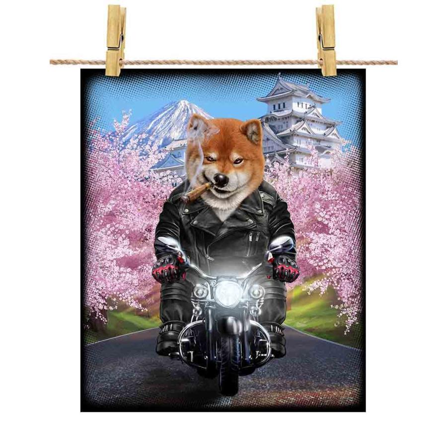 ワルな 柴犬 ドッグ 犬 いぬ バイク 桜 日本】ポストカード by ワルな 柴犬 ドッグ 犬 いぬ バイク 桜 日本】ポストカード by