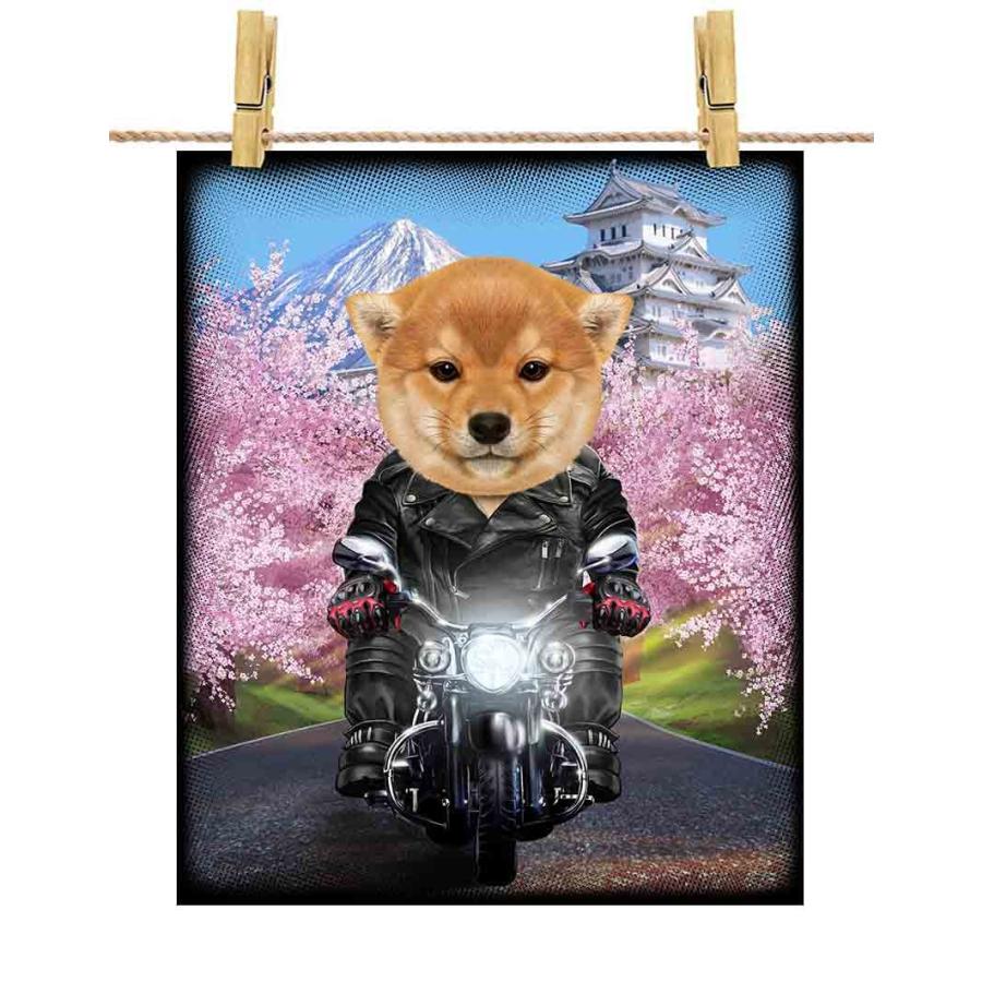 仔犬の 柴犬 ドッグ 犬 いぬ バイク 桜 日本】ポストカード by 仔犬の 柴犬 ドッグ 犬 いぬ バイク 桜 日本】ポストカード by