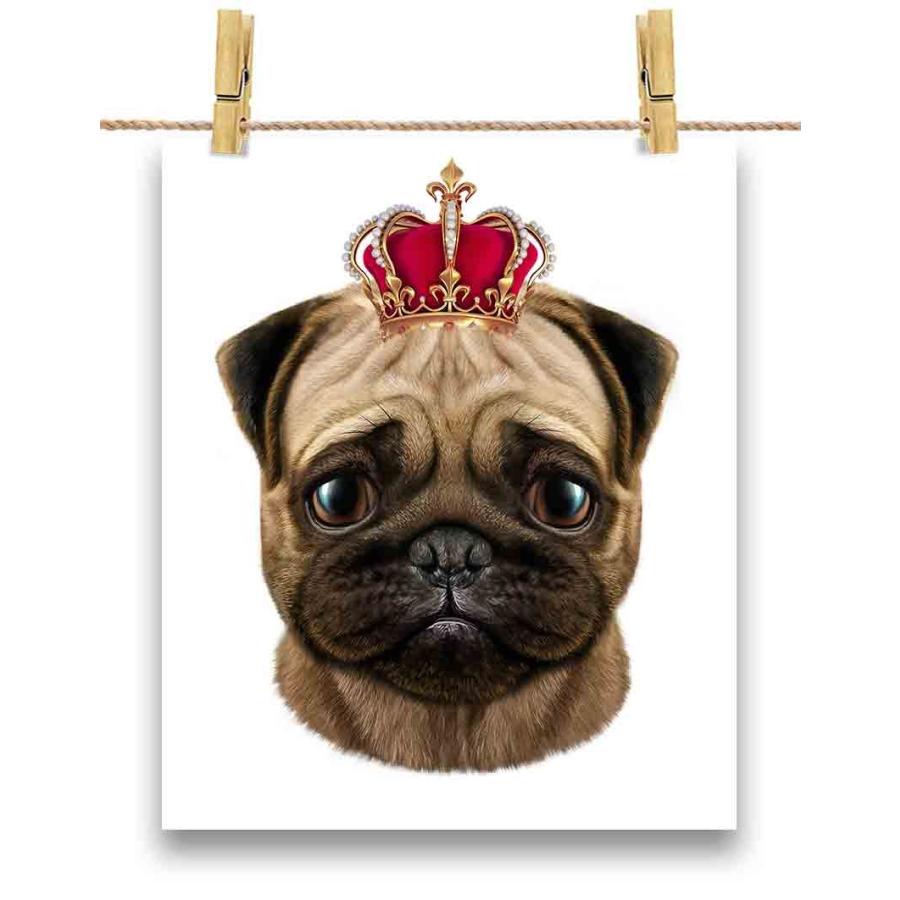 かわいいパグ ドッグ 犬 いぬ 王冠 ポストカード By Fox Republic Postcard Dog59 Fox Republic 通販 Yahoo ショッピング