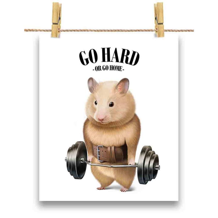 ポストカード ハムスター ボクシング チャンピオン 筋肉 筋トレ by Fox