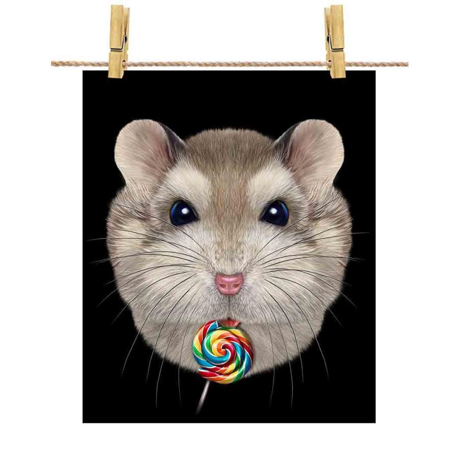 ポストカード アグーチ・ハムスター キャンディ 飴 by Fox Republic