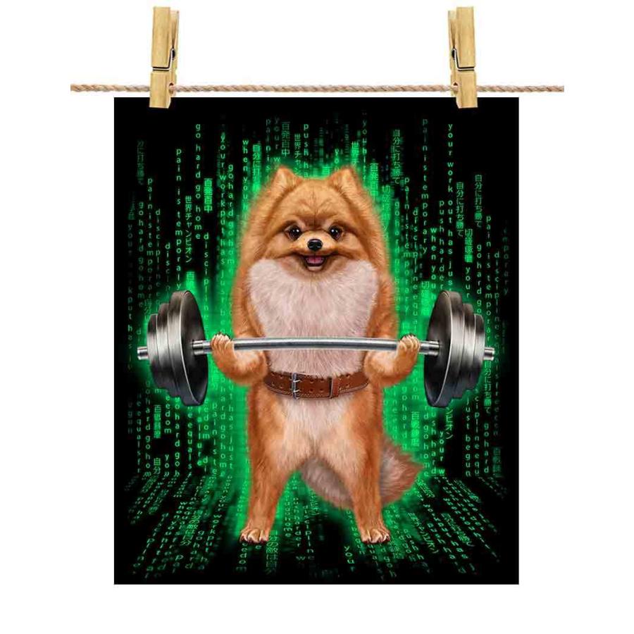 ポストカード 筋トレ デジタル ポメラニアン 犬 By Fox Republic Postcard Olympian31 Fox Republic 通販 Yahoo ショッピング