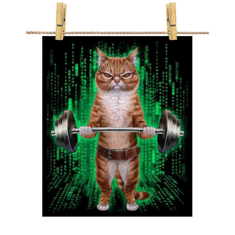 【猫猫ホッピー 様】 グレー 猫 ねこ ラッパー ヒップホップ ヘッドフォン】ポスト