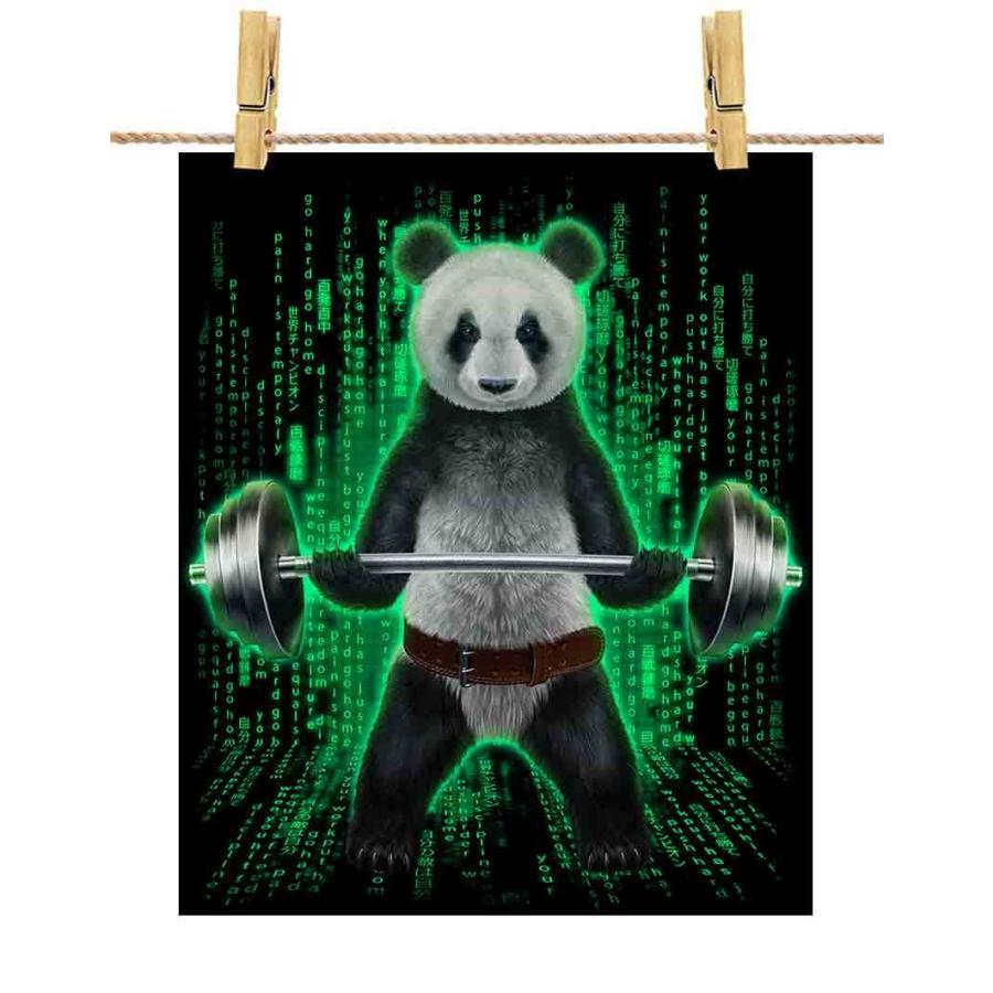 ポストカード 筋トレ デジタル パンダ by Fox Republic : FOX REPUBLIC