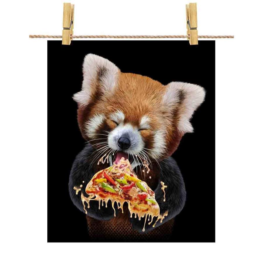 ポストカード レッサーパンダピザ 動物 by Fox Republic : FOX