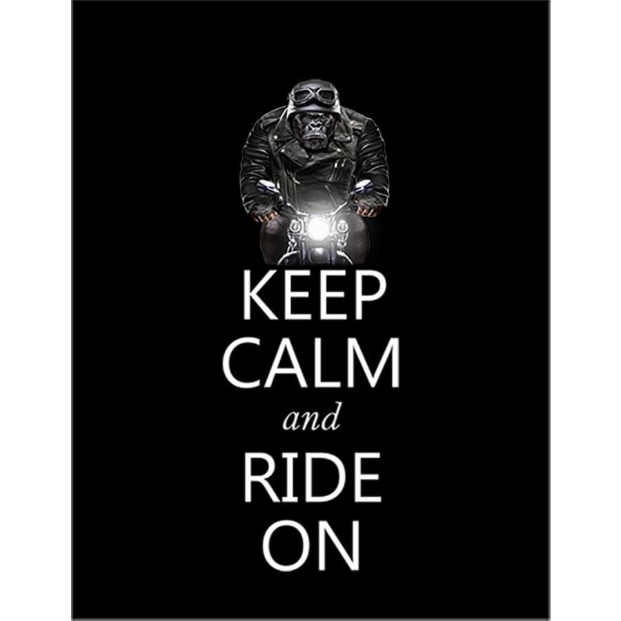 75 Off ダイゴー 3dポストカード トロピカルアリエル 01 S3669 Sale 商品 Shipsctc Org