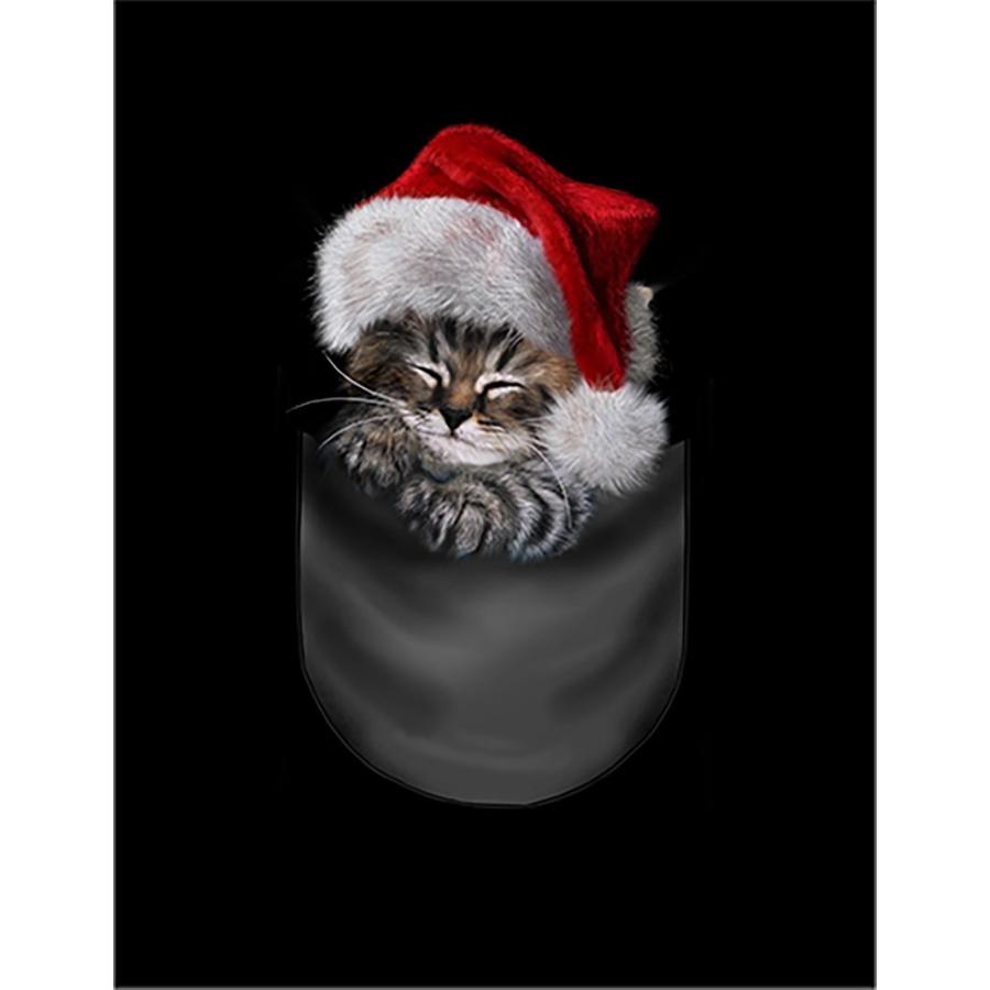 ポケットで眠るサンタ子猫・しまネコ 】ポストカード : FOX REPUBLIC