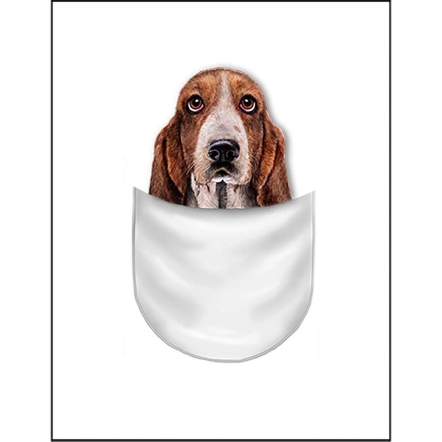 ポストカード 犬 21高い素材