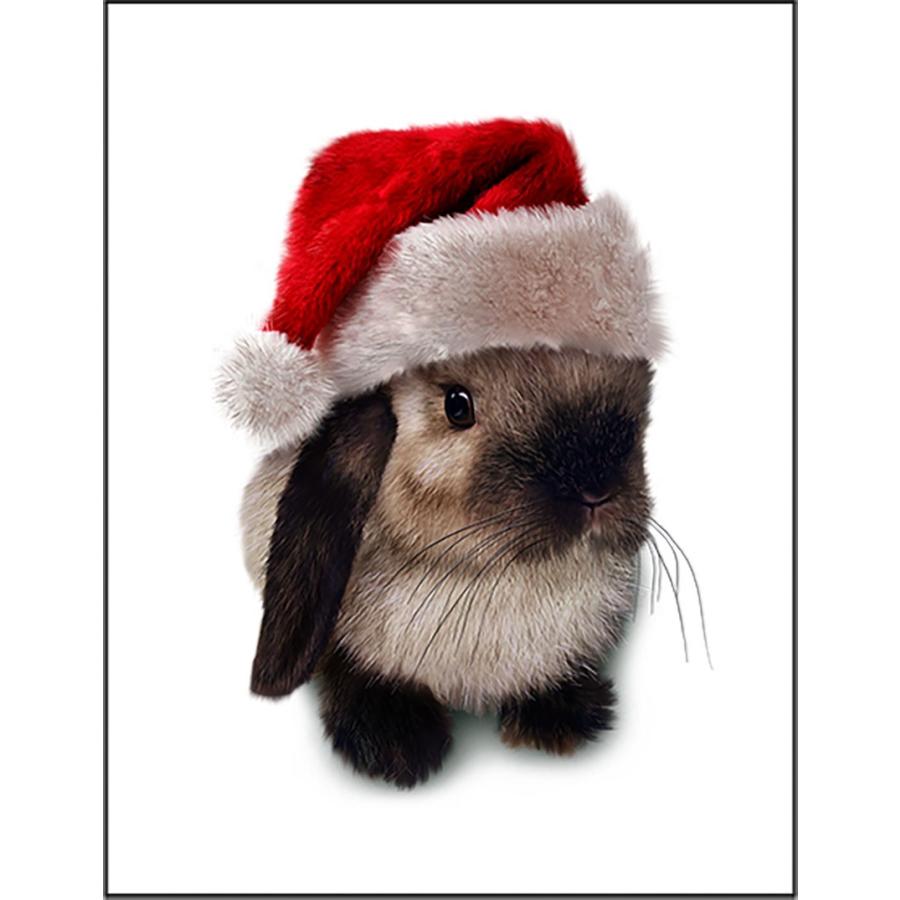 ポストカード サンタの帽子をかぶったネザーランドドワーフうさぎ by