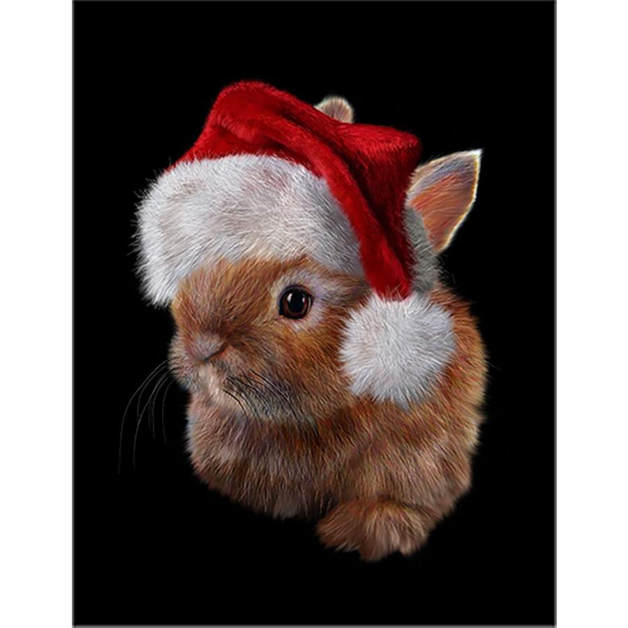 ポストカード サンタの帽子をかぶった黒いネザーランドドワーフ うさぎ