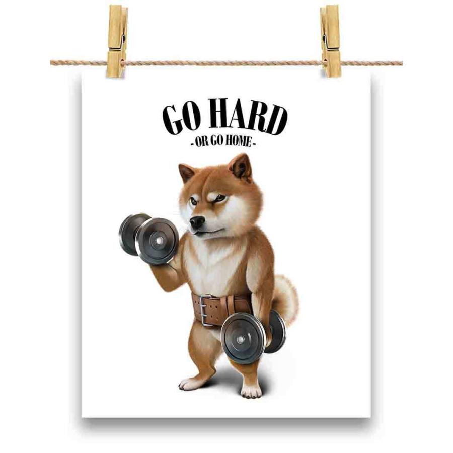 ポストカード 柴犬 しばいぬ ダンベル 筋トレ 筋肉 ジム By Fox Republic Postcard Shiba Set2 Fox Republic 通販 Yahoo ショッピング