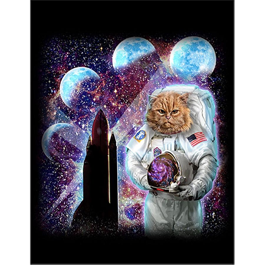 レア メトロカード 500 使用済 猫とキツネ kocka_care000073