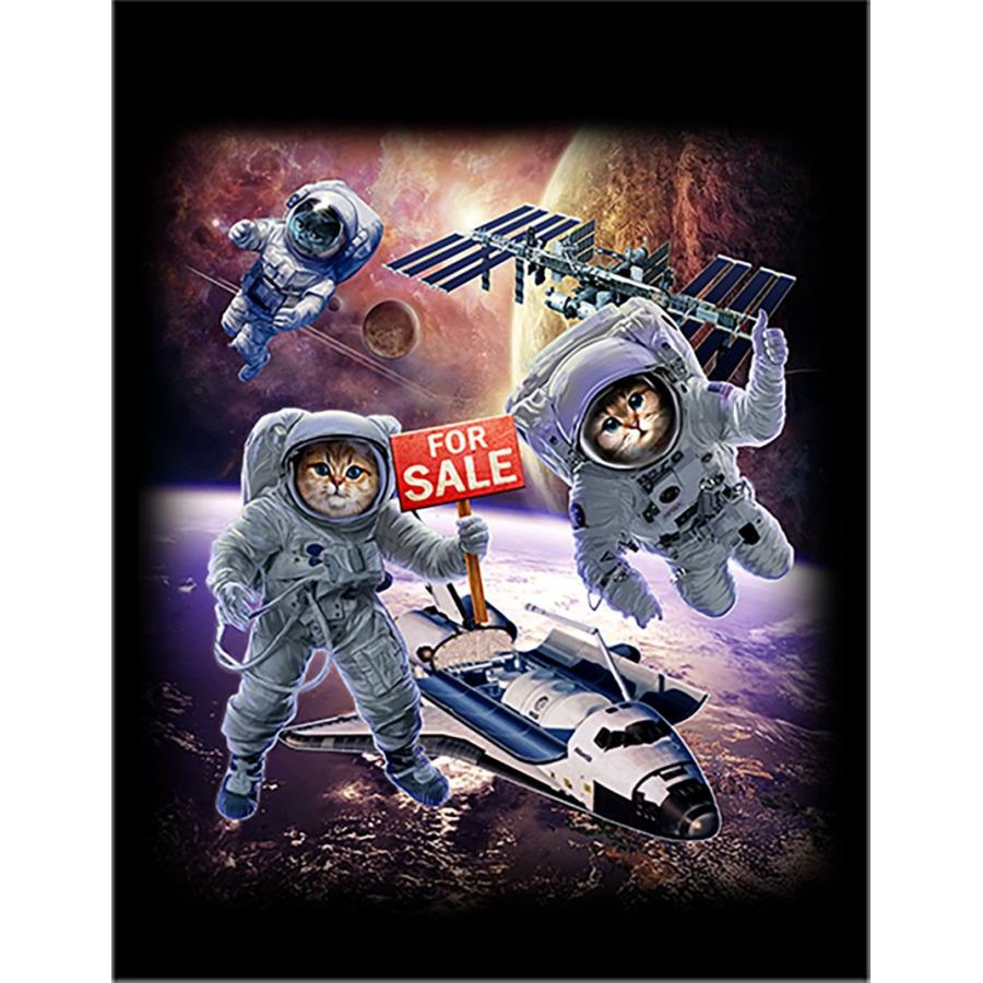 スペースシャトルを売るネコ宇宙飛行士】ポストカード 黒背景 : FOX