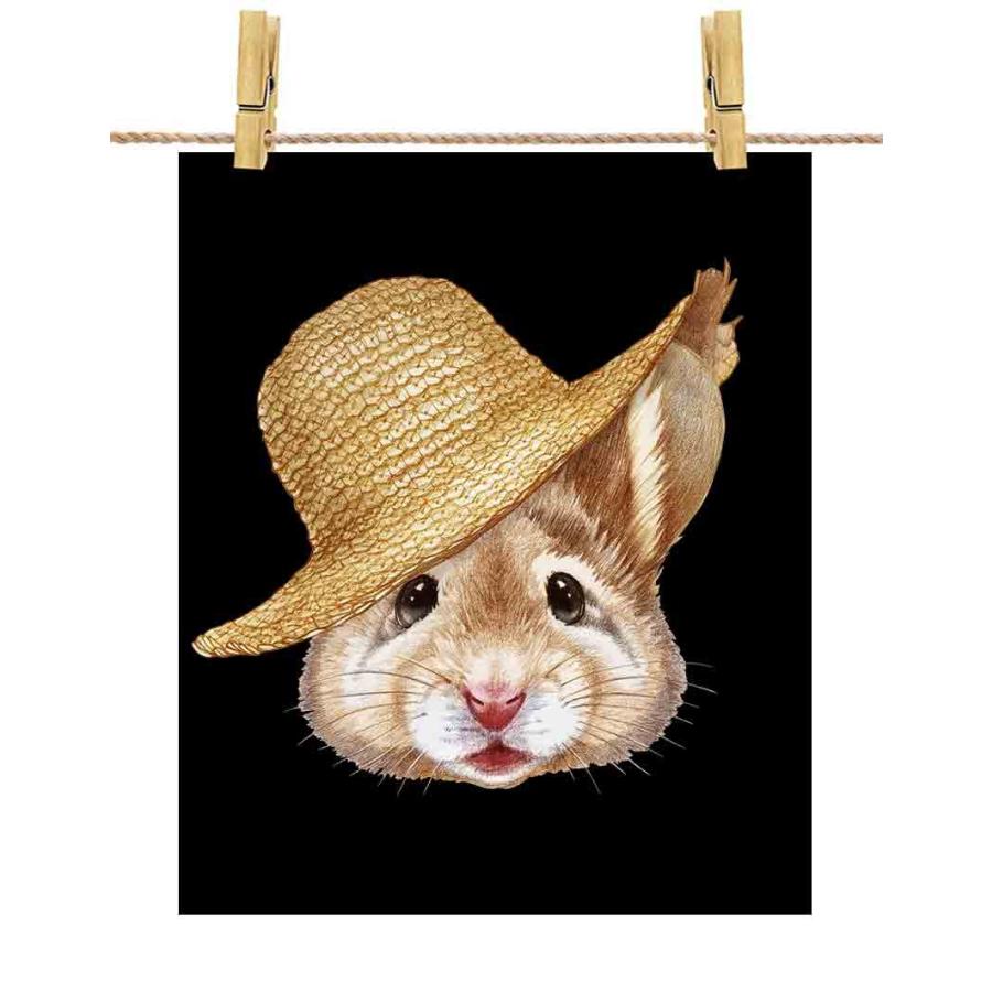 ルーミー60ハムスター飼育セット20点以上ガイド本3冊と五千円