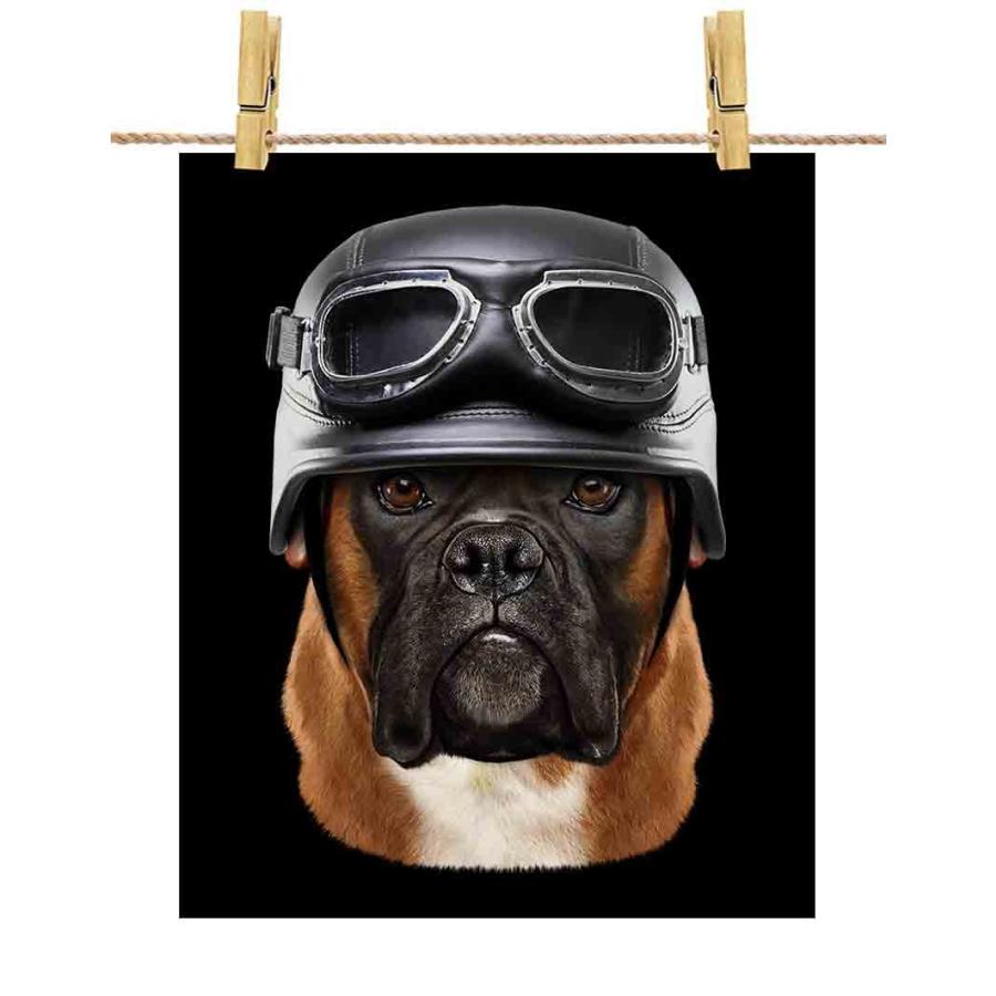 大人気 ドッグ ボクサー 犬 Republic Fox By ヘルメット ポスター A1サイズ いぬ ポスター 紙のタイプ 光沢なし 黒背景 Www Oroagri Eu