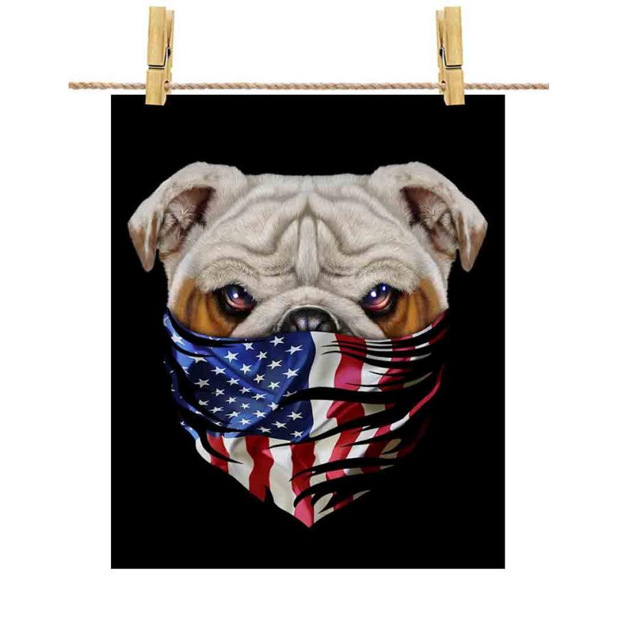 高級素材使用ブランド 犬 ドッグ ブルドッグ 怒った いぬ Republic Fox By 星条旗 ポスター A1サイズ アメリカ ポスター 紙のタイプ 光沢あり 白背景