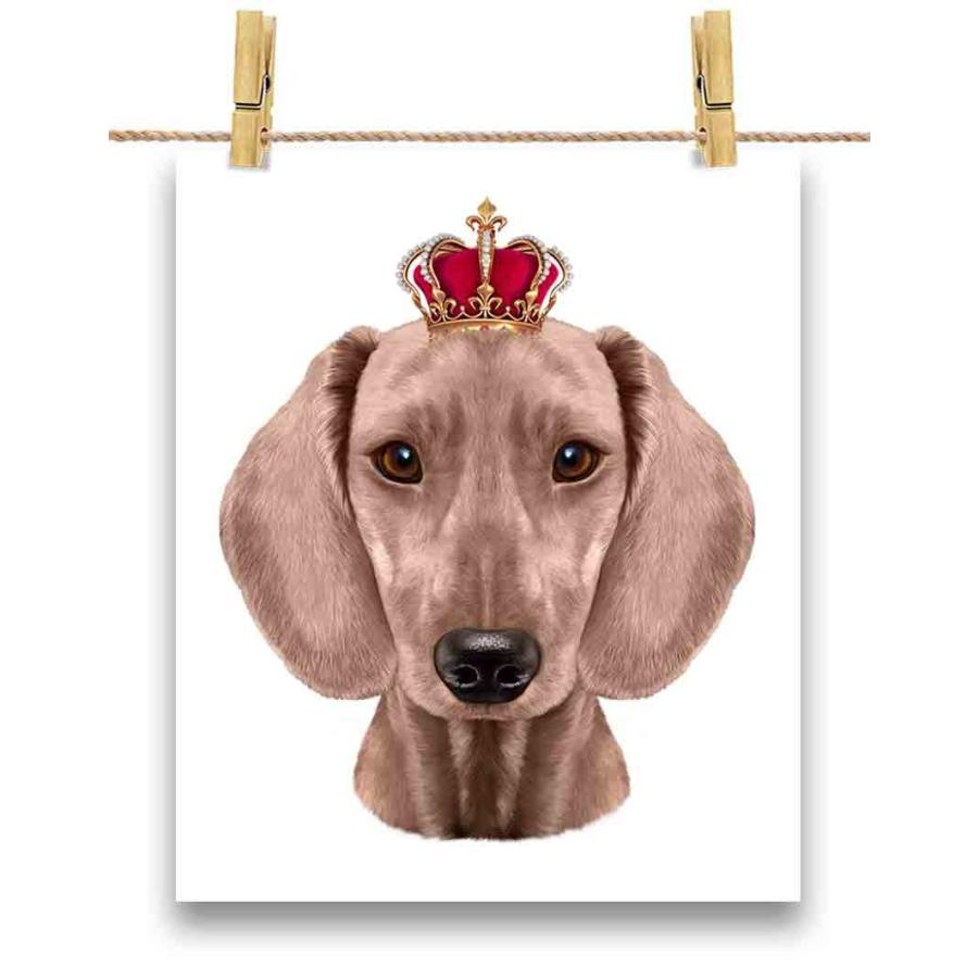 売れ筋がひ クリーム色 ダックスフンド ドッグ 犬 いぬ 王冠 ポスター A1サイズ By Fox Republic ポスター 紙のタイプ 光沢なし 白背景