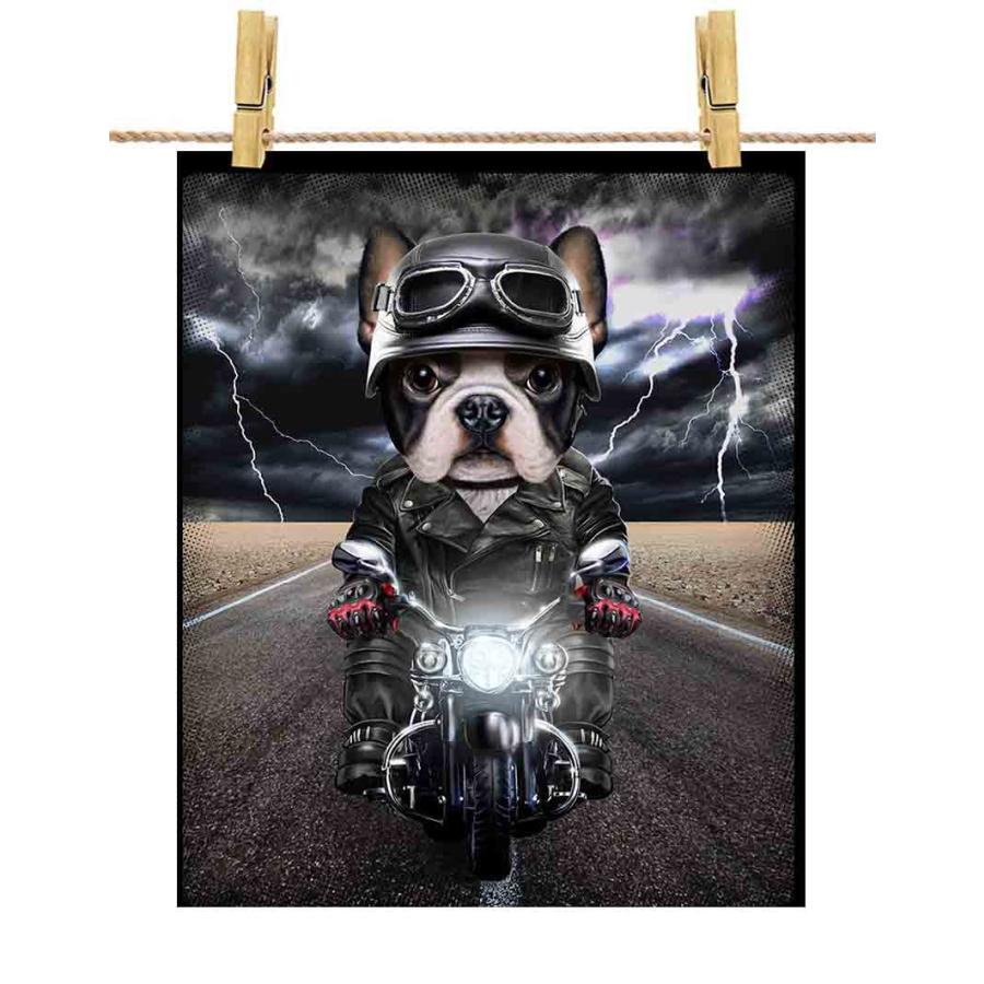期間限定 ヘルメット ポスター A1サイズ バイク いぬ 犬 ドッグ フレンチブルドッグ かわいい By Republic Fox ポスター 紙のタイプ 光沢なし 黒背景 Popshap Com