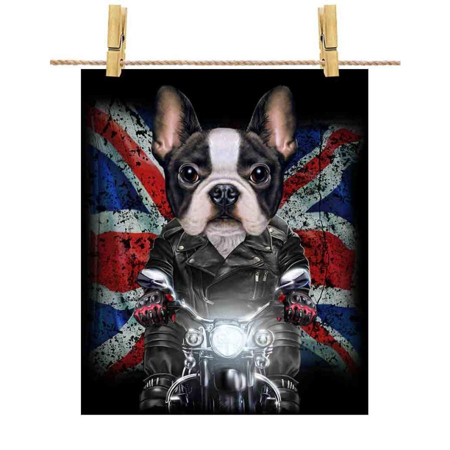 品多く かわいい フレンチブルドッグ ドッグ 犬 いぬ バイク イギリス ポスター A1サイズ By Fox Republic ポスター 紙のタイプ 光沢なし 白背景 Www Oroagri Eu