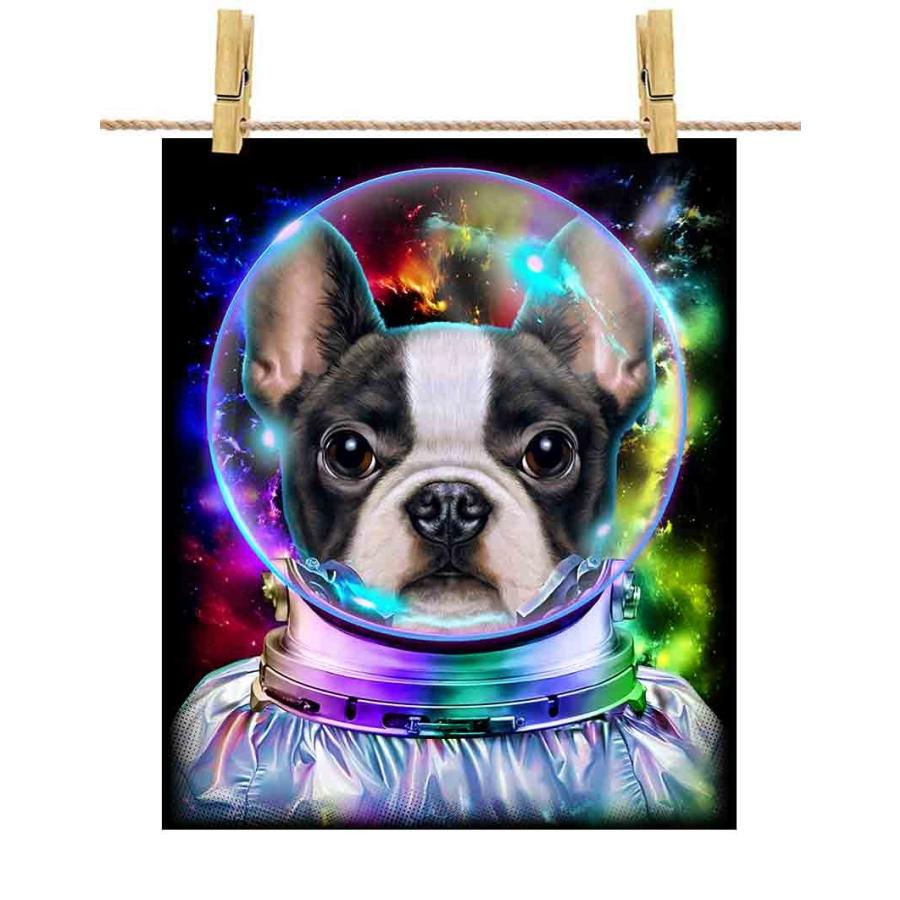 【超特価SALE開催！】 飛行士 宇宙 いぬ 犬 ドッグ フレンチブルドッグ 【かわいい 銀河系】ポスター　A1サイズ Republic Fox by ポスター