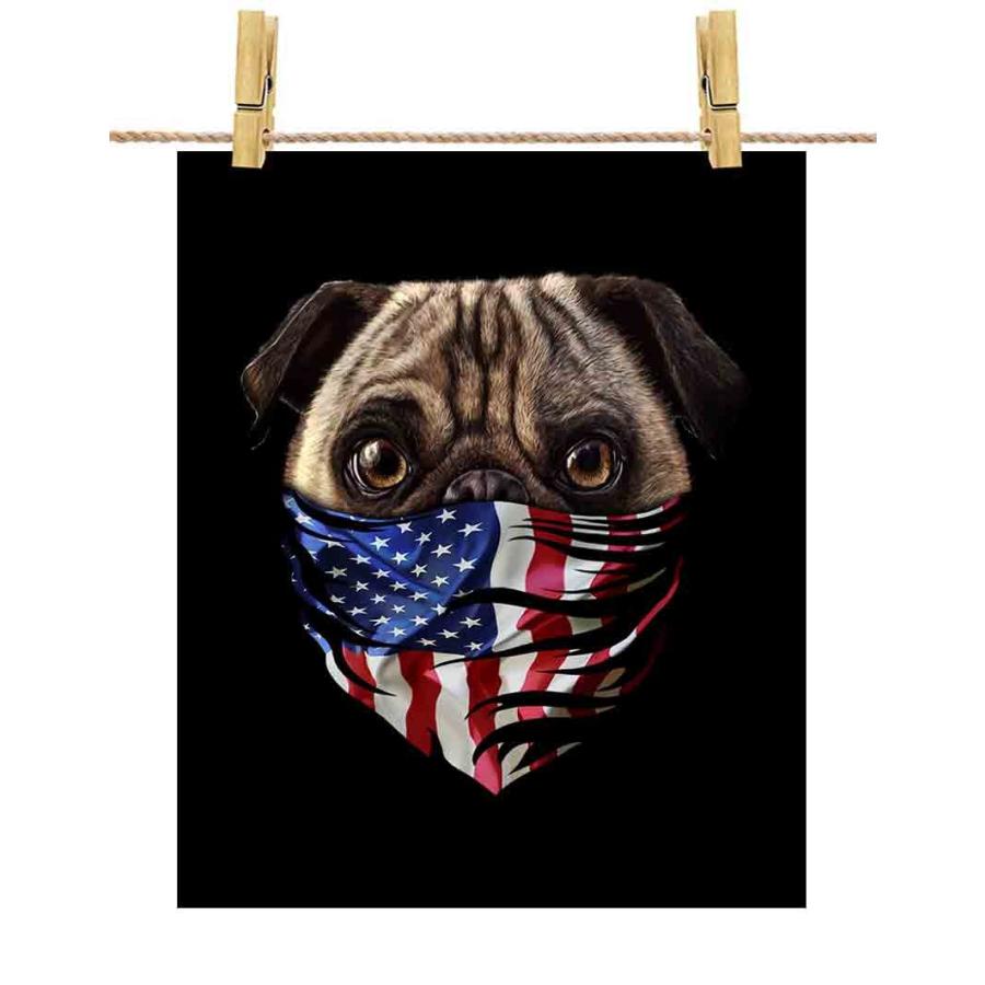 充実の品 不機嫌なパグ ドッグ 犬 いぬ アメリカ 星条旗 ポスター A1サイズ By Fox Republic ポスター 紙のタイプ 光沢なし 黒背景 Www Crkvasvetogmarka Rs