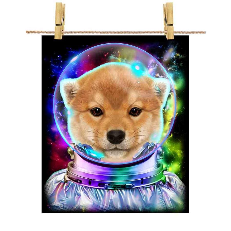 輝く高品質な 犬 ドッグ 柴犬 【仔犬の いぬ Republic Fox by 銀河系】ポスター　A1サイズ 飛行士 宇宙 ポスター