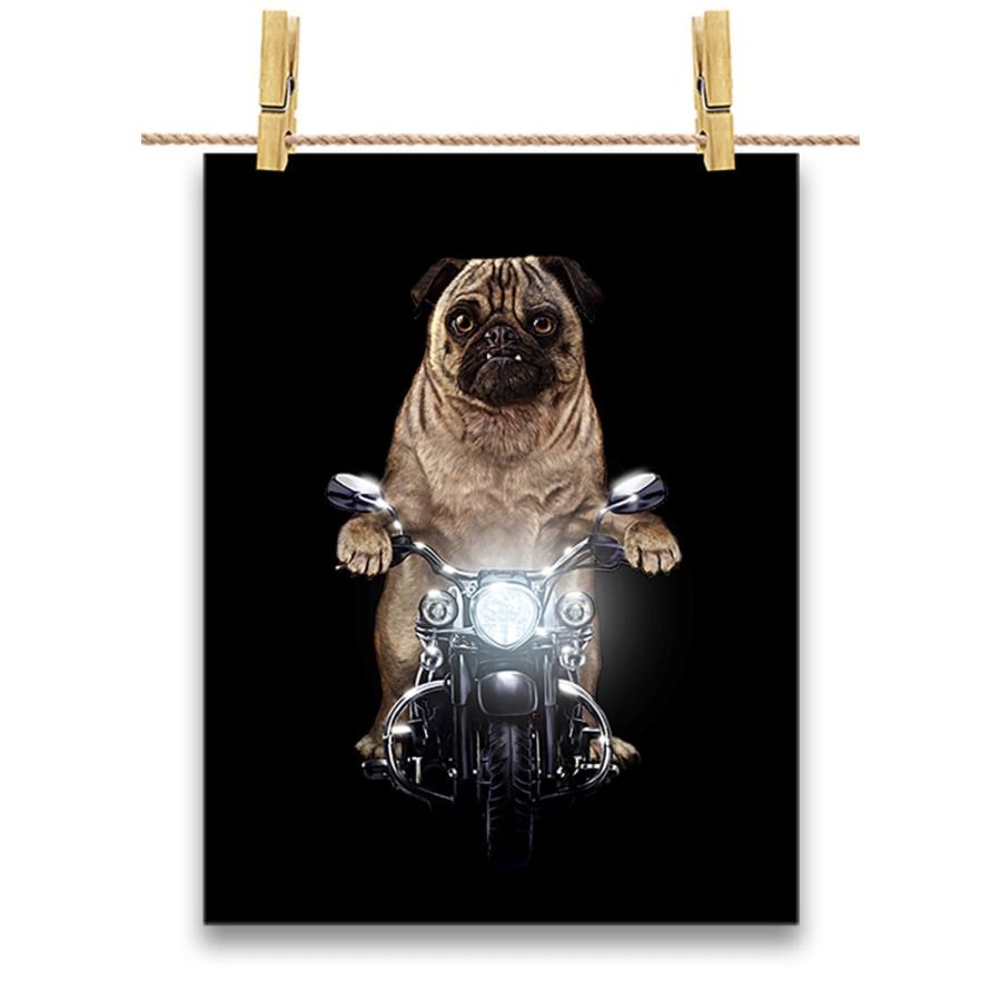 子犬　ポスター でっかくなっちゃった赤い子犬 僕はクリフォード : ポスター画像