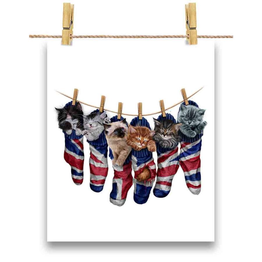 イギリス ユニオンジャック 子猫 猫 ねこ 靴下 ポスター A3サイズ By Fox Republic Poster A3 Cat124 Fox Republic 通販 Yahoo ショッピング