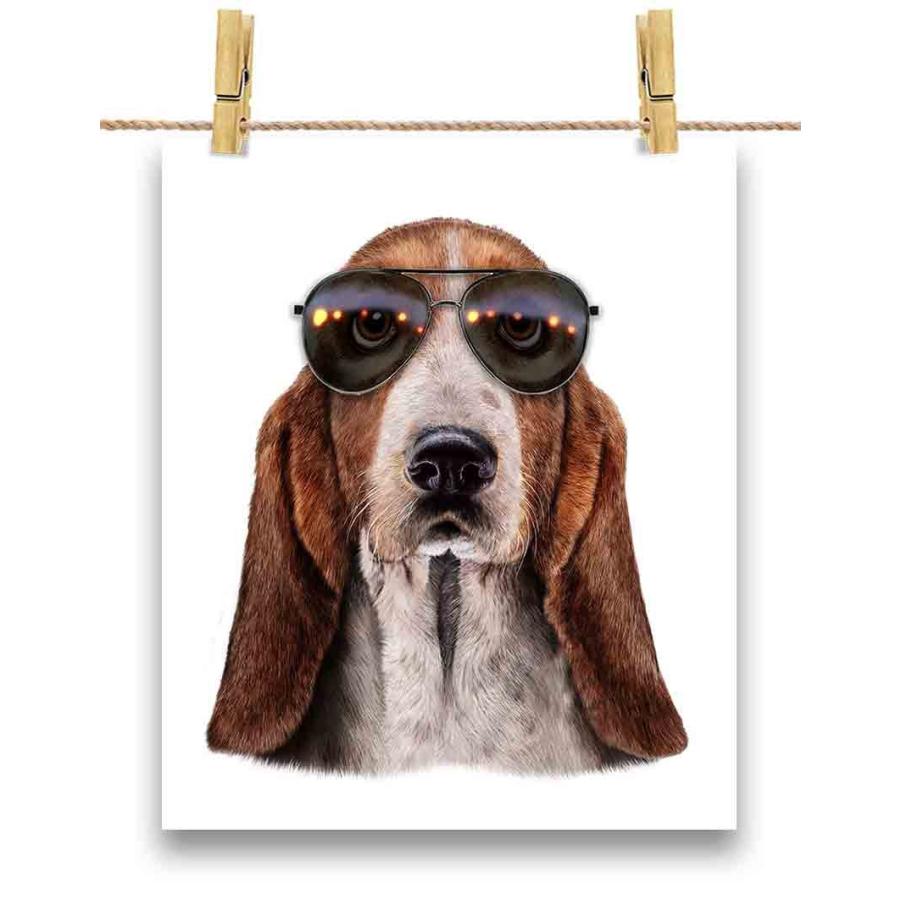 バセットハウンド ドッグ 犬 いぬ サングラス ポスター A3サイズ By Fox Republic Poster A3 Dog Bst 6 Fox Republic 通販 Yahoo ショッピング