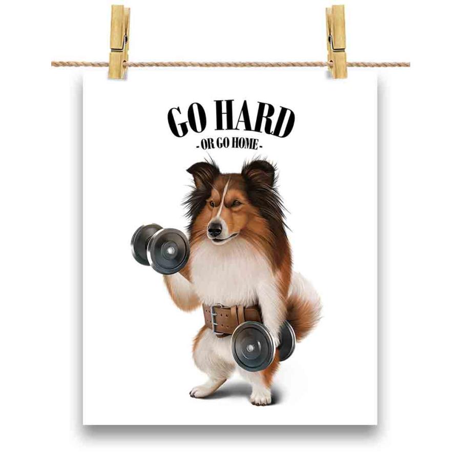 ポスター A3 シェルティ いぬ 犬 ダンベル 筋トレ 筋肉 ワーク