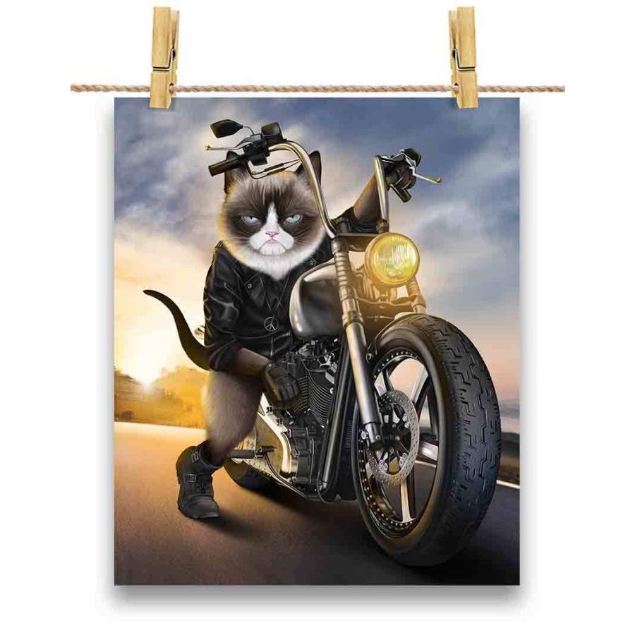 ポスター シャムネコ 猫 ねこ バイク バイカー By Fox Republic Poster Biker8 2 Fox Republic 通販 Yahoo ショッピング