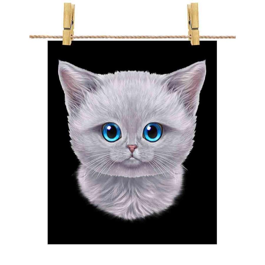 しろねこ 白猫 しろねこ】ポスター A4サイズ by Fox Republic : FOX